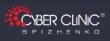 CYBER CLINIC OF SPIZHENKO JOINS U.S.-UKRAINE BUSINESS COUNCIL (USUBC)