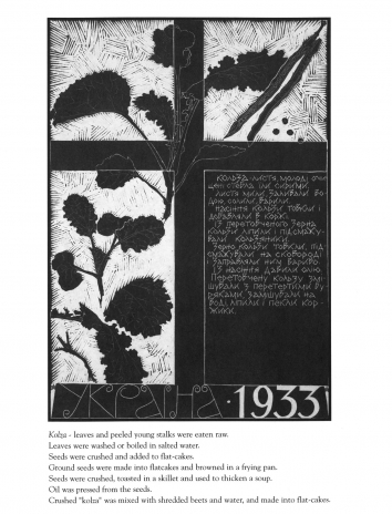 Ukraine 1933: A Cookbook. BW. Page 47